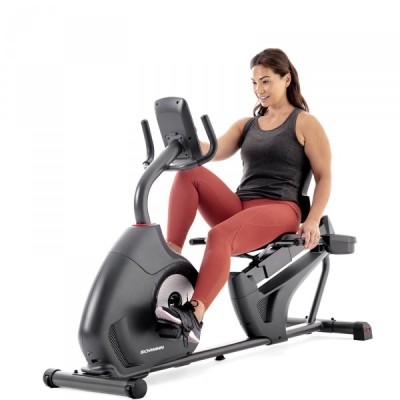 Schwinn 510R Recumbent Bike: Cyclette Orizzontale