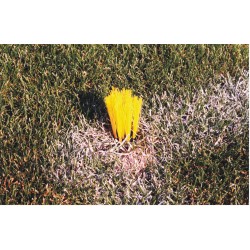Plifix ciuffo erba sintetica per tracciatura campi sportivi - 25 pezzi