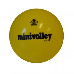 Pallone Minivolley TRIAL in...