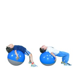 Boa Ball Autobilanciante Ø 45 cm