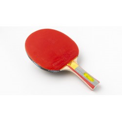 Racchetta Ping Pong 4 Stelle